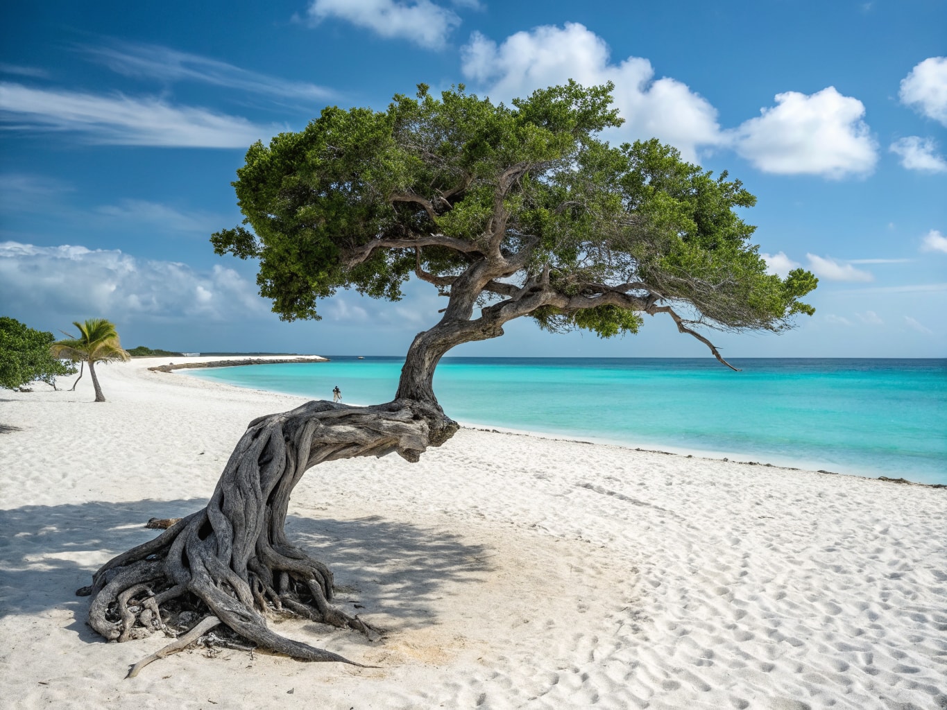 Aruba