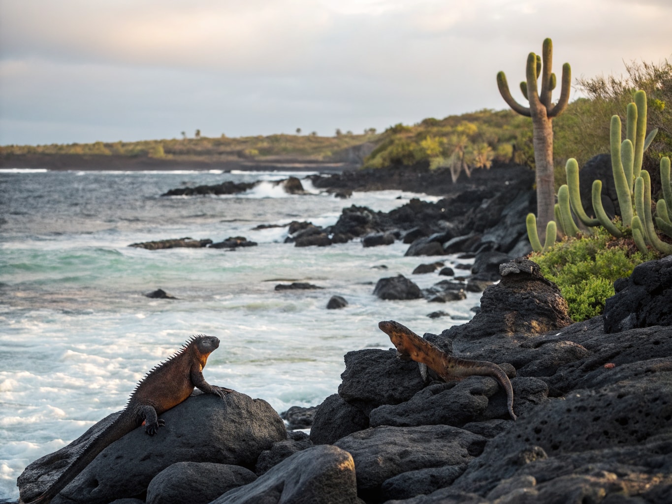 Galapagoseilanden