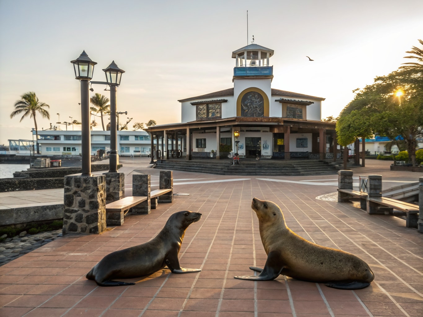 Puerto Baquerizo Moreno