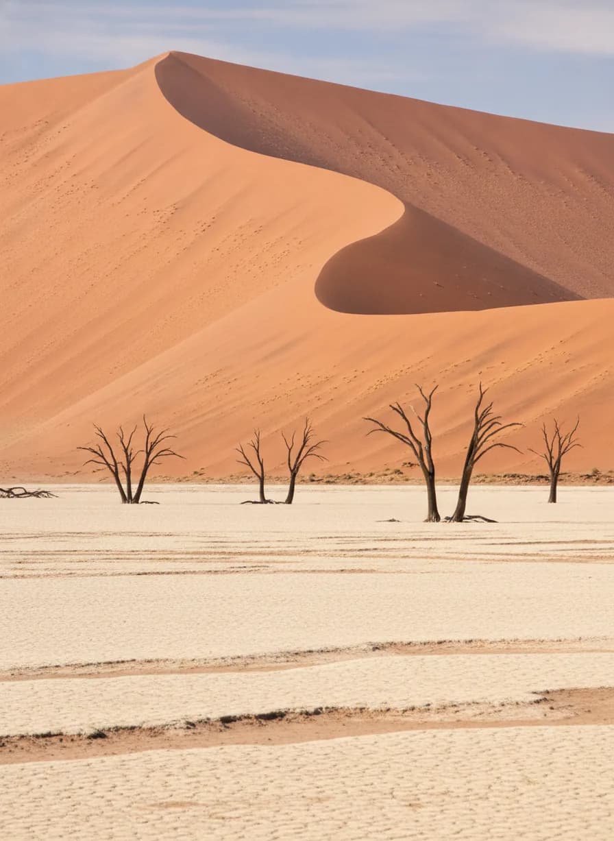 Sossusvlei en Deadvlei